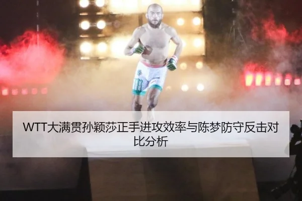 da-man-guan-sun-ying-sha-zheng-shou-jin-gong-xiao-lv-yu-chen-meng-fang-shou-fan-ji-dui-bi-fen-xi-2-852.jpg