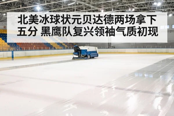 ice hockey arena