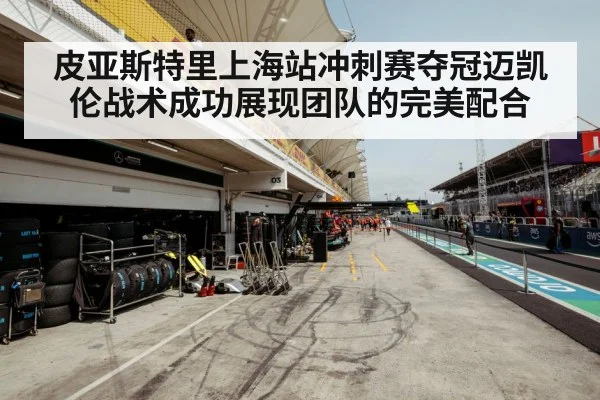 Formula 1 tire strategy