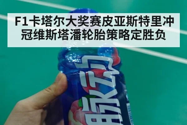 F1卡塔尔大奖赛皮亚斯特里冲冠维斯塔潘轮胎策略定胜负